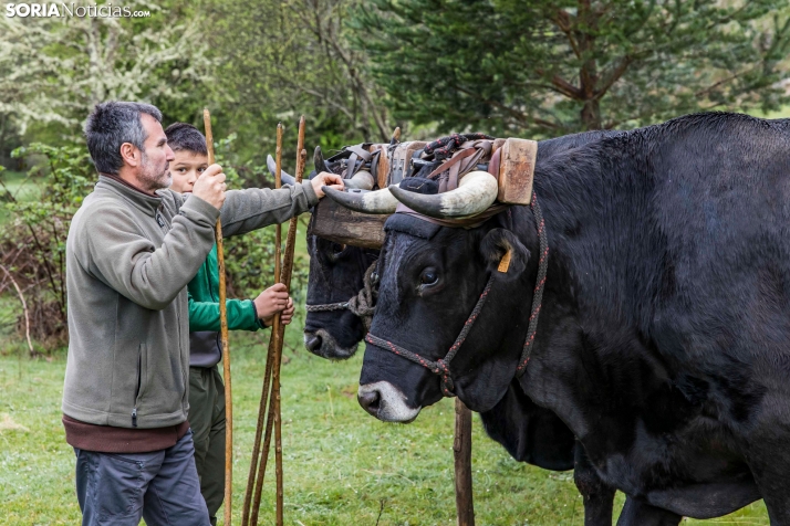 XXVII Ruta Carreteril./ Viksar Fotografía
