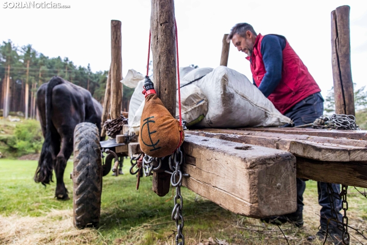 XXVII Ruta Carreteril./ Viksar Fotografía