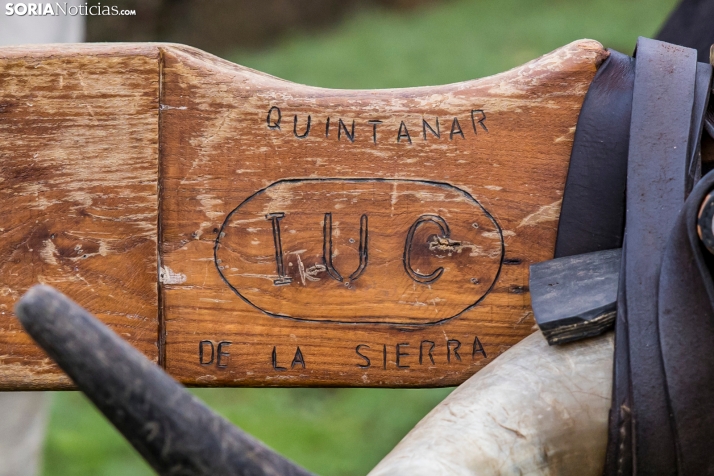 XXVII Ruta Carreteril./ Viksar Fotografía