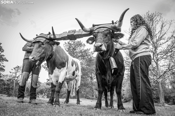 XXVII Ruta Carreteril./ Viksar Fotografía