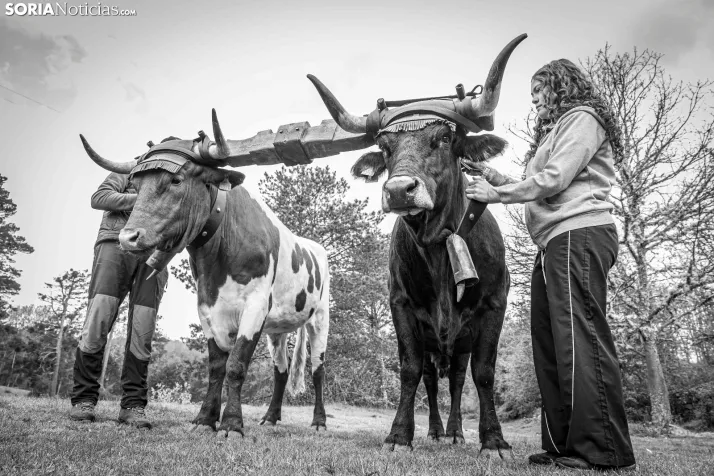 XXVII Ruta Carreteril./ Viksar Fotografía