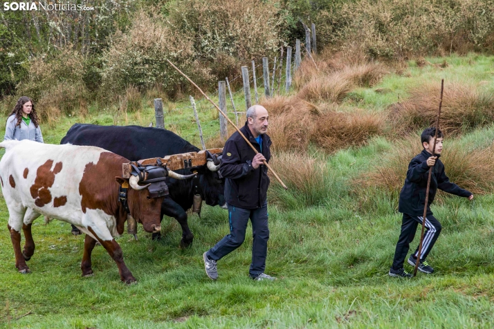 XXVII Ruta Carreteril./ Viksar Fotografía