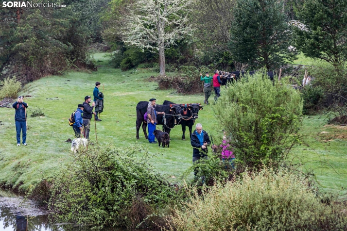 XXVII Ruta Carreteril./ Viksar Fotografía