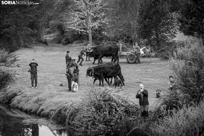 XXVII Ruta Carreteril./ Viksar Fotografía
