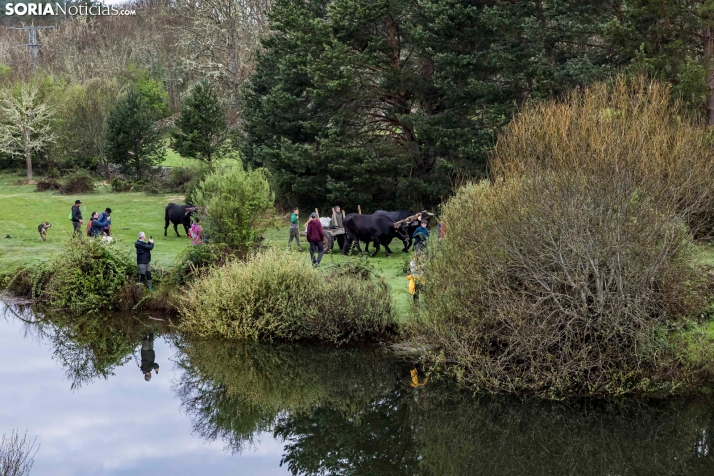 XXVII Ruta Carreteril./ Viksar Fotografía