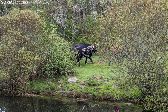 XXVII Ruta Carreteril./ Viksar Fotografía