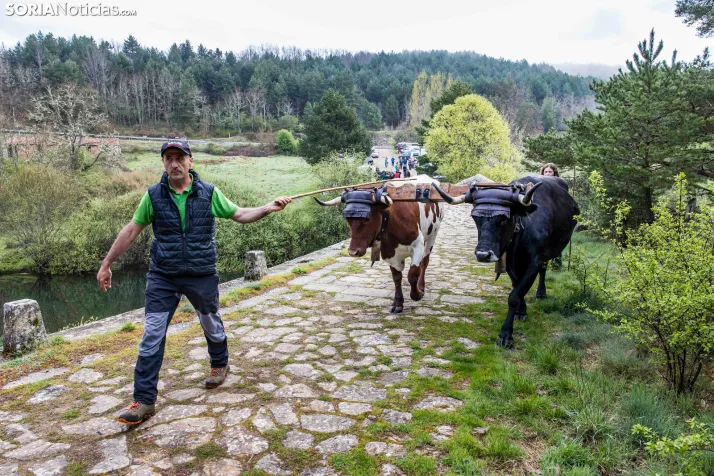 XXVII Ruta Carreteril./ Viksar Fotografía
