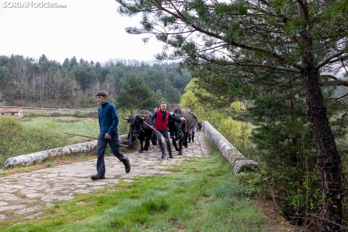 XXVII Ruta Carreteril./ Viksar Fotografía
