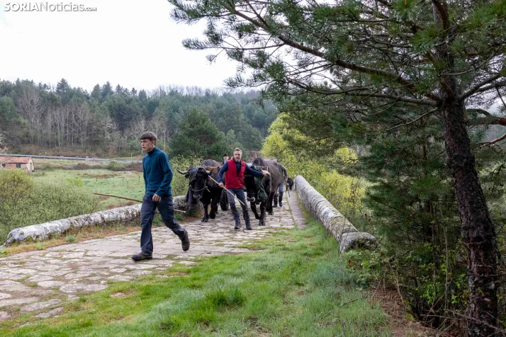 XXVII Ruta Carreteril./ Viksar Fotografía