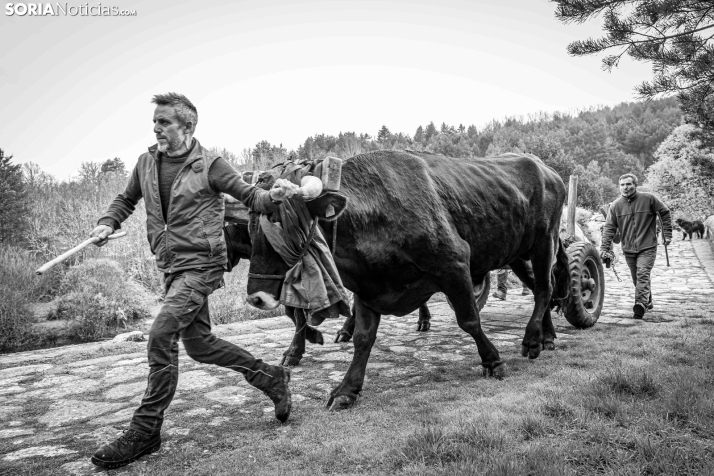 XXVII Ruta Carreteril./ Viksar Fotografía