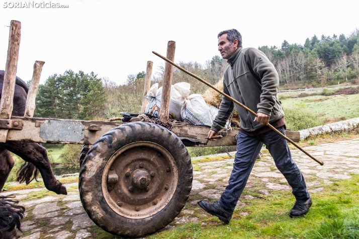 XXVII Ruta Carreteril./ Viksar Fotografía
