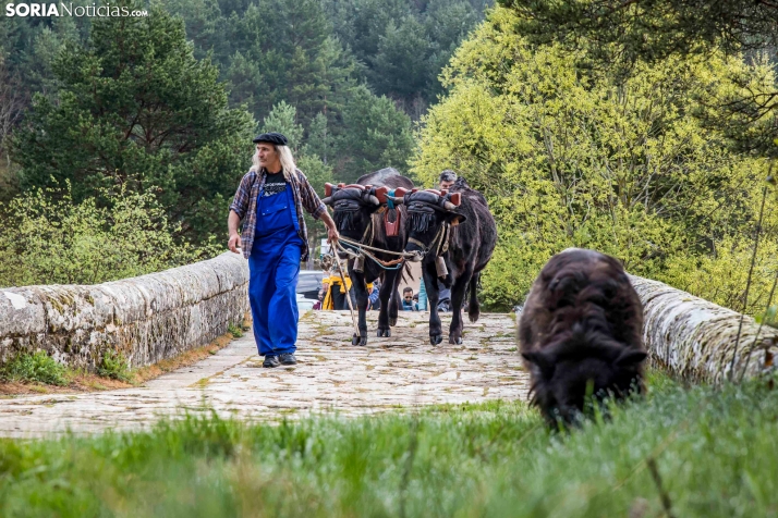 XXVII Ruta Carreteril./ Viksar Fotografía