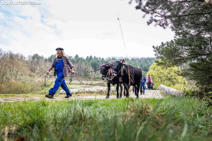 XXVII Ruta Carreteril./ Viksar Fotografía