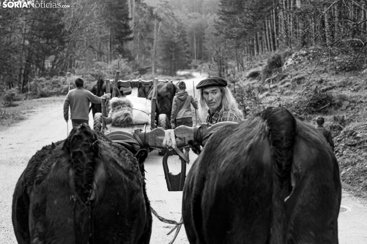 XXVII Ruta Carreteril./ Viksar Fotografía