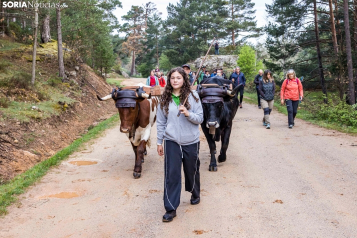 XXVII Ruta Carreteril./ Viksar Fotografía
