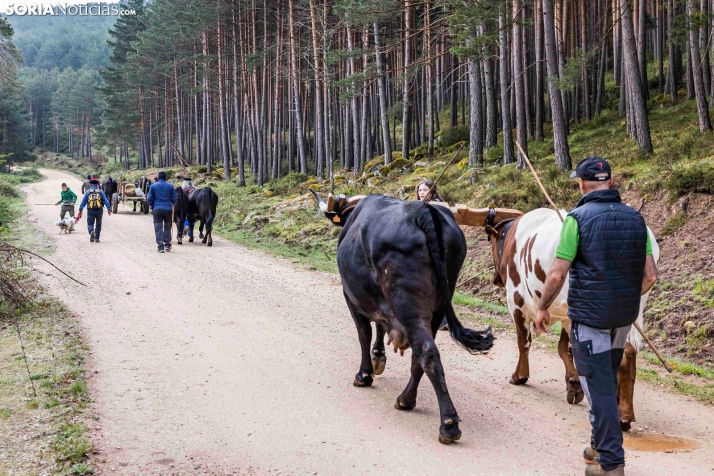XXVII Ruta Carreteril./ Viksar Fotografía