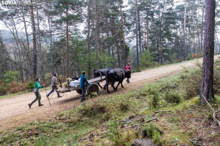 XXVII Ruta Carreteril./ Viksar Fotografía