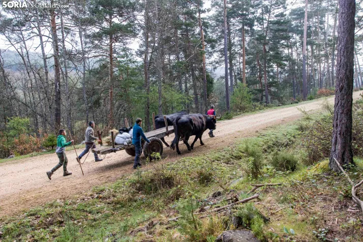XXVII Ruta Carreteril./ Viksar Fotografía