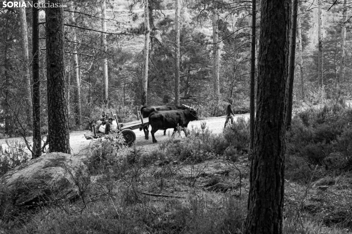 XXVII Ruta Carreteril./ Viksar Fotografía