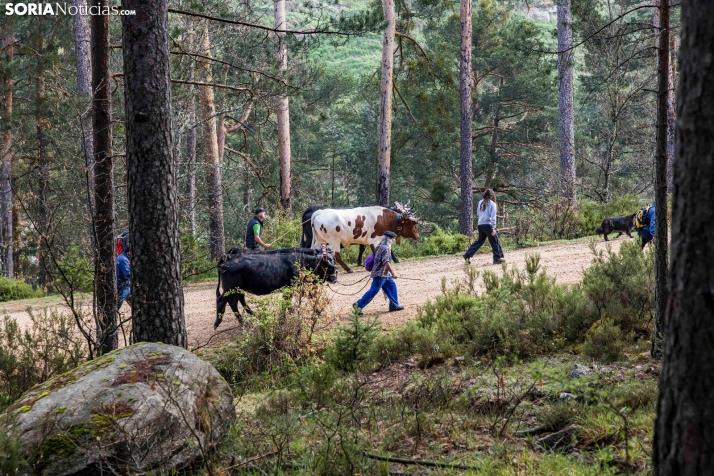 XXVII Ruta Carreteril./ Viksar Fotografía