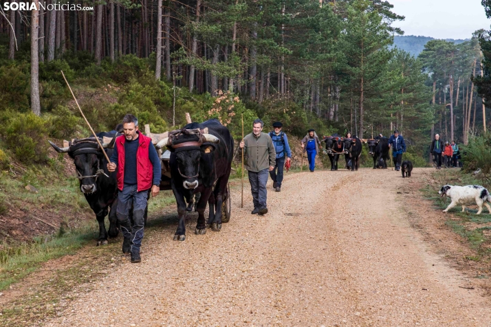 XXVII Ruta Carreteril./ Viksar Fotografía
