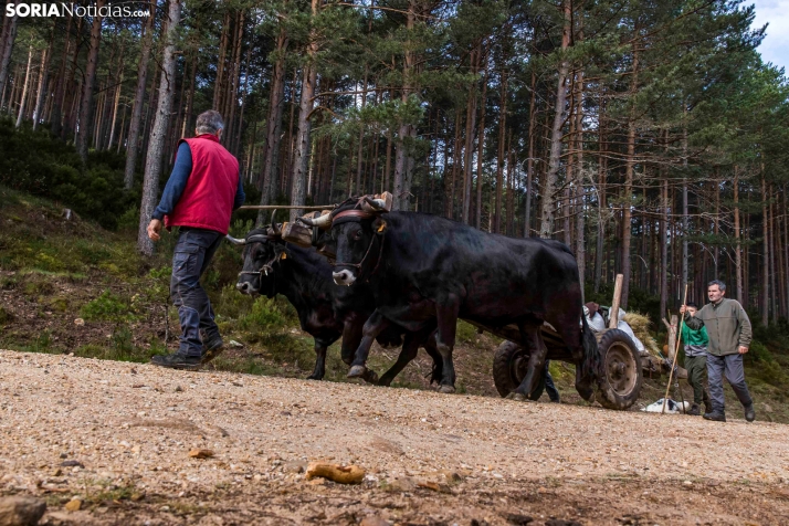 XXVII Ruta Carreteril./ Viksar Fotografía
