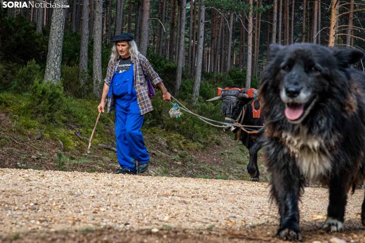 XXVII Ruta Carreteril./ Viksar Fotografía