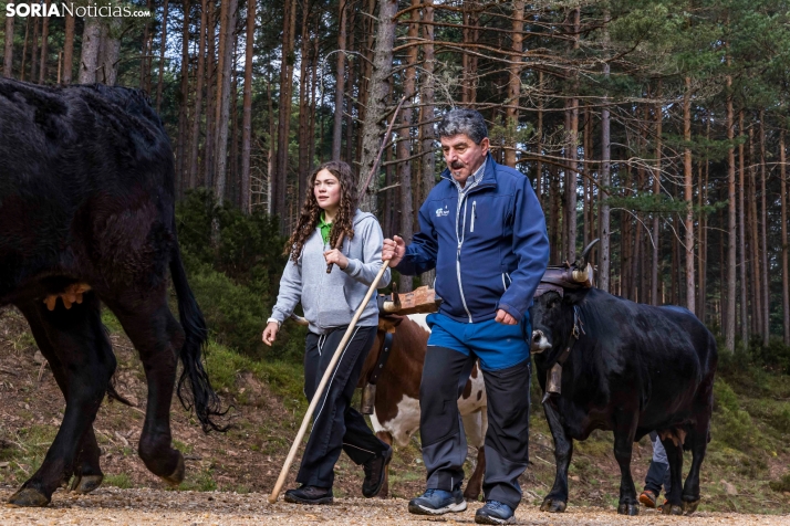 XXVII Ruta Carreteril./ Viksar Fotografía