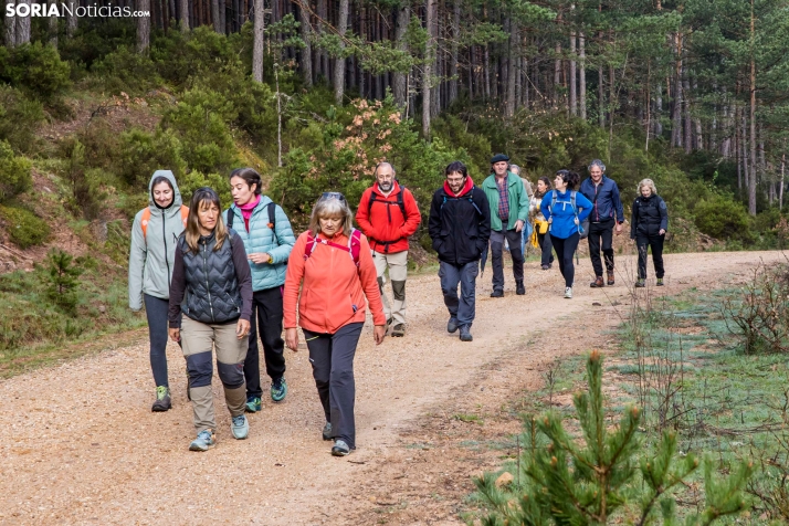 XXVII Ruta Carreteril./ Viksar Fotografía