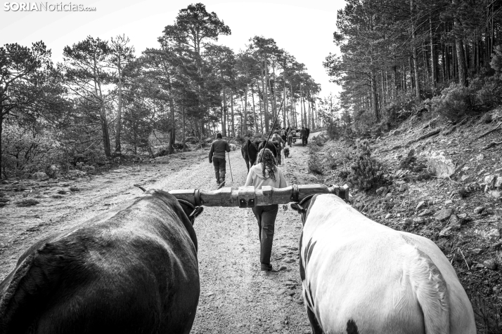 XXVII Ruta Carreteril./ Viksar Fotografía