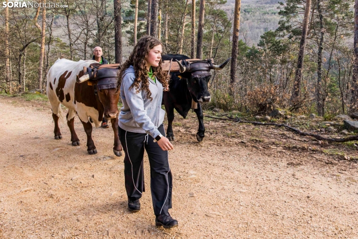XXVII Ruta Carreteril./ Viksar Fotografía