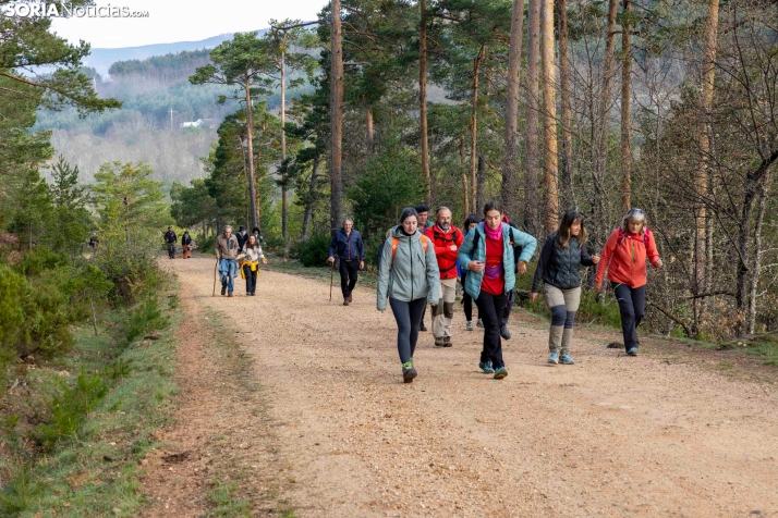 XXVII Ruta Carreteril./ Viksar Fotografía