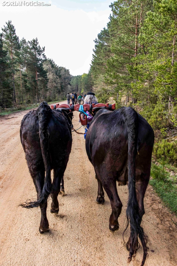 XXVII Ruta Carreteril./ Viksar Fotografía