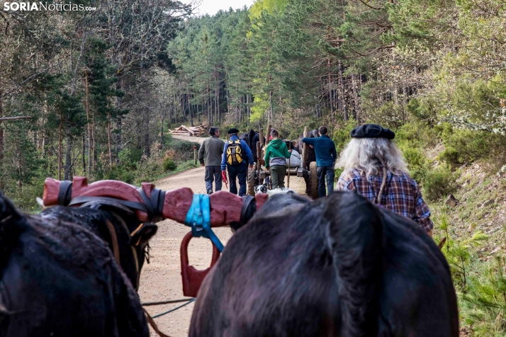 XXVII Ruta Carreteril./ Viksar Fotografía