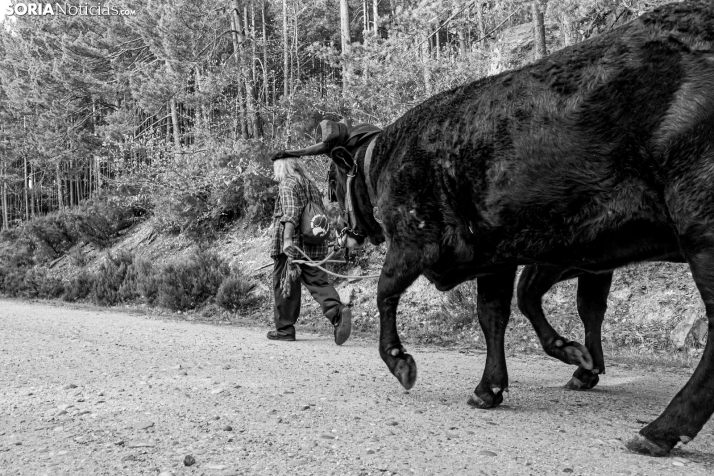 XXVII Ruta Carreteril./ Viksar Fotografía