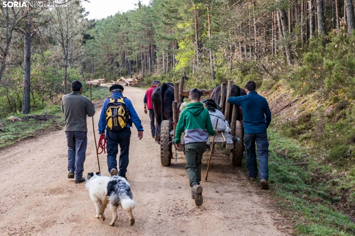 XXVII Ruta Carreteril./ Viksar Fotografía