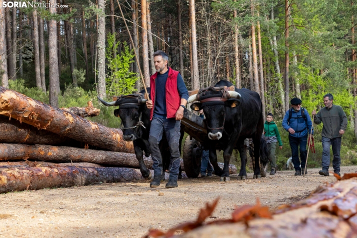 XXVII Ruta Carreteril./ Viksar Fotografía