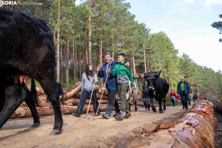 XXVII Ruta Carreteril./ Viksar Fotografía