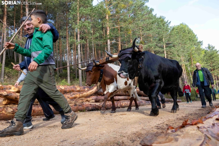XXVII Ruta Carreteril./ Viksar Fotografía