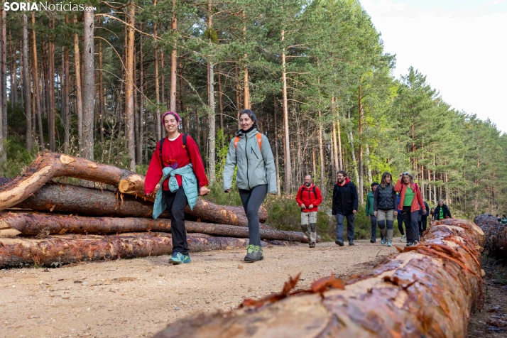 XXVII Ruta Carreteril./ Viksar Fotografía