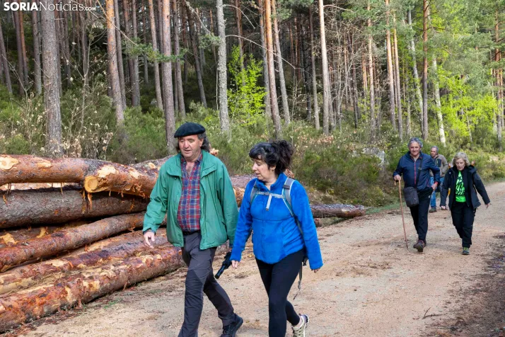 XXVII Ruta Carreteril./ Viksar Fotografía