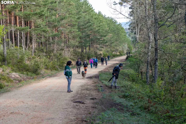 XXVII Ruta Carreteril./ Viksar Fotografía