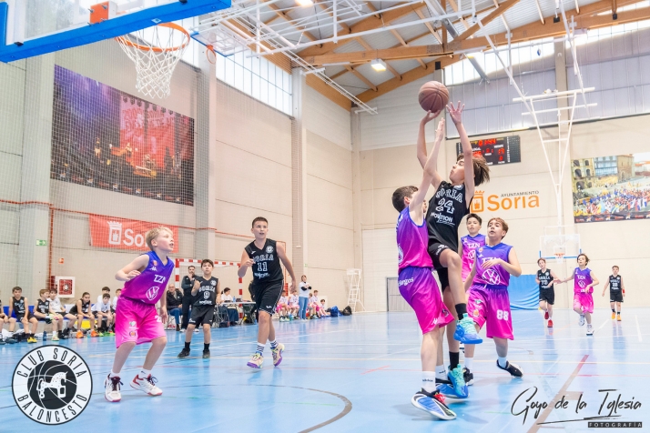 Victorias clave de la cantera del Club Soria Baloncesto