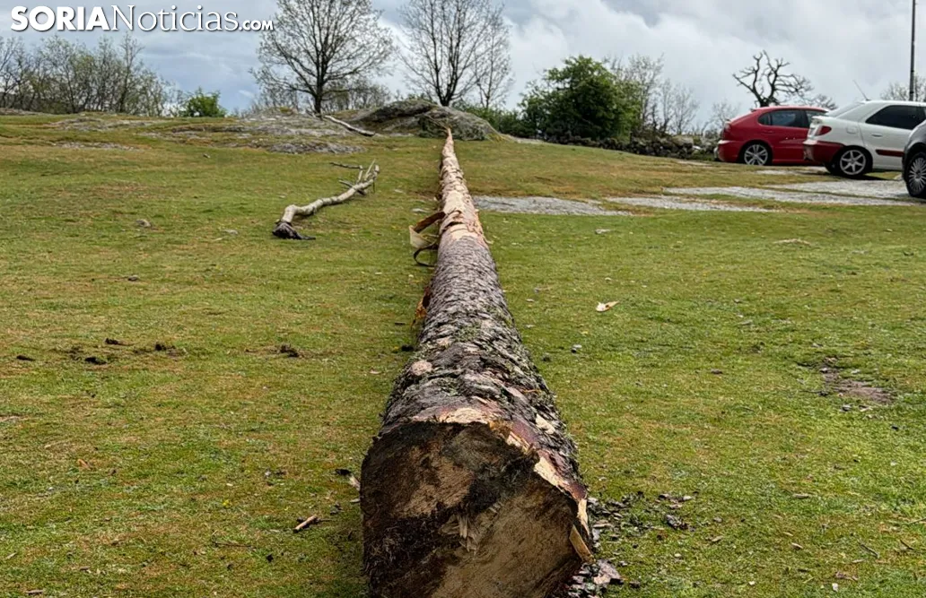 La lluvia obliga a suspender la tradicional Pingada del Mayo en Covaleda