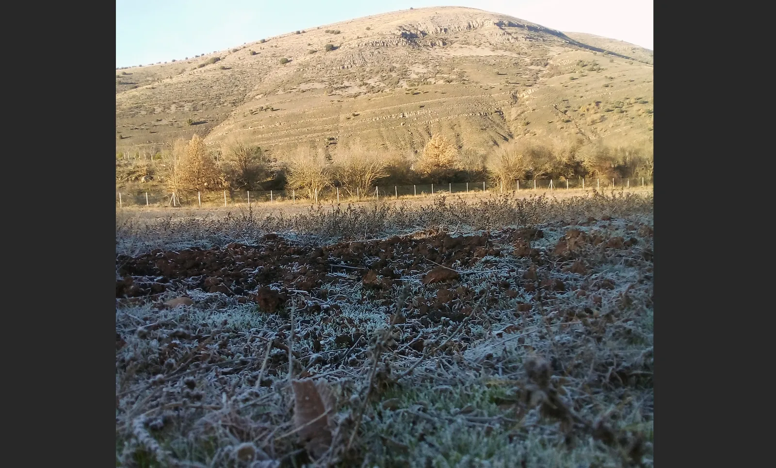 Helada tardía en Espejo de Tera: casi 4 grados bajo cero en mayo