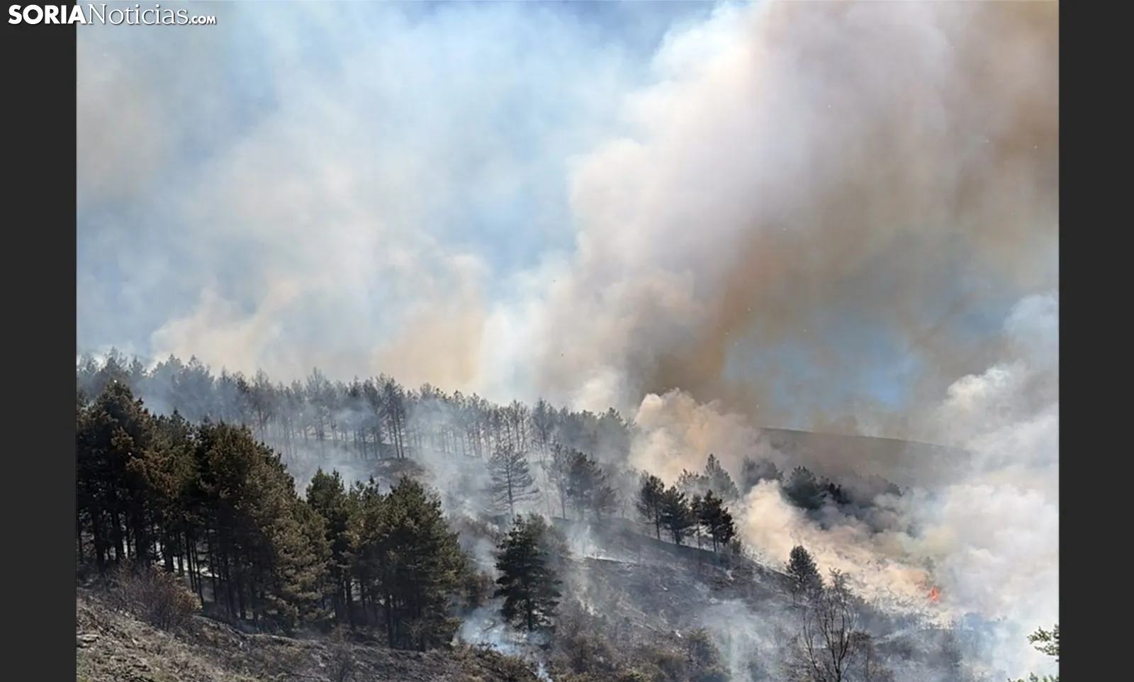 Declarado peligro medio de incendios forestales en Castilla y León