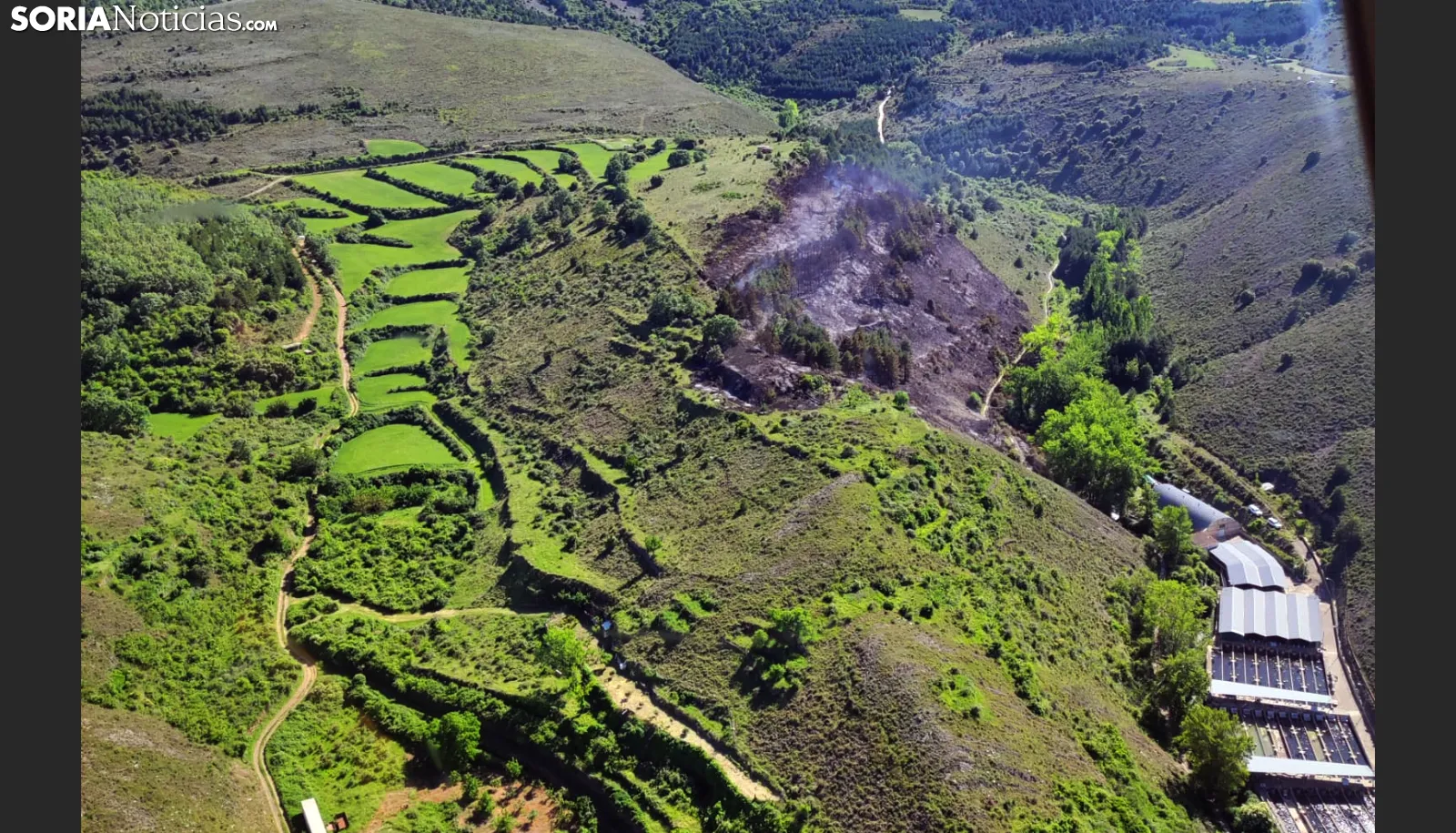 AVANCE | Controlado un incendio forestal en el Moncayo