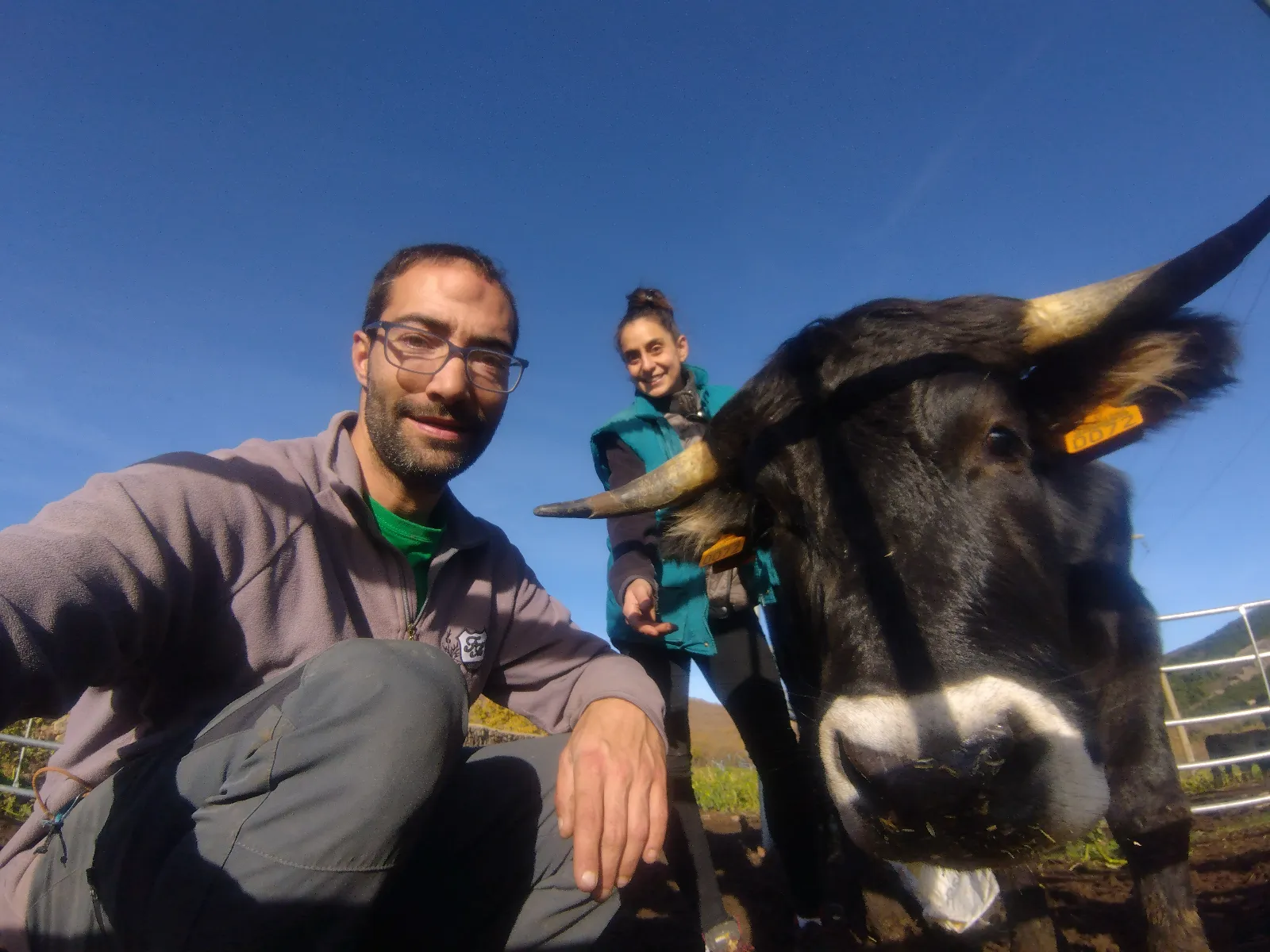 Moncayo Ecológico impulsa la ganadería regenerativa en Soria