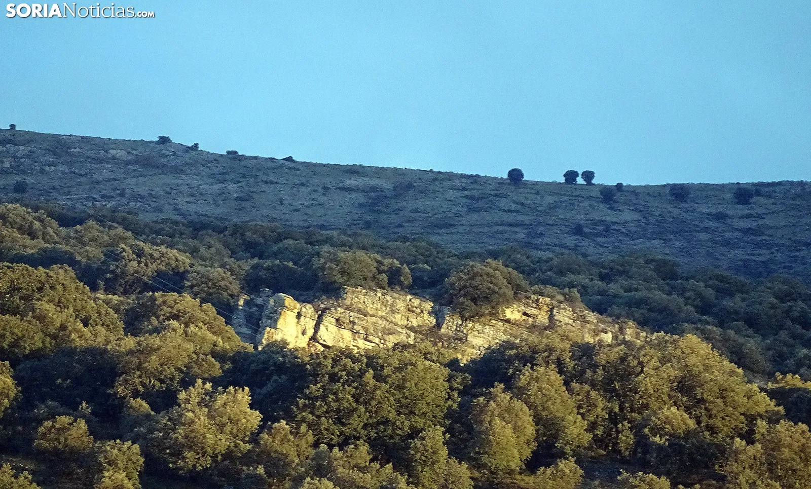 Nuevas ayudas y menos trabas para frenar el abandono de los montes en Castilla y León