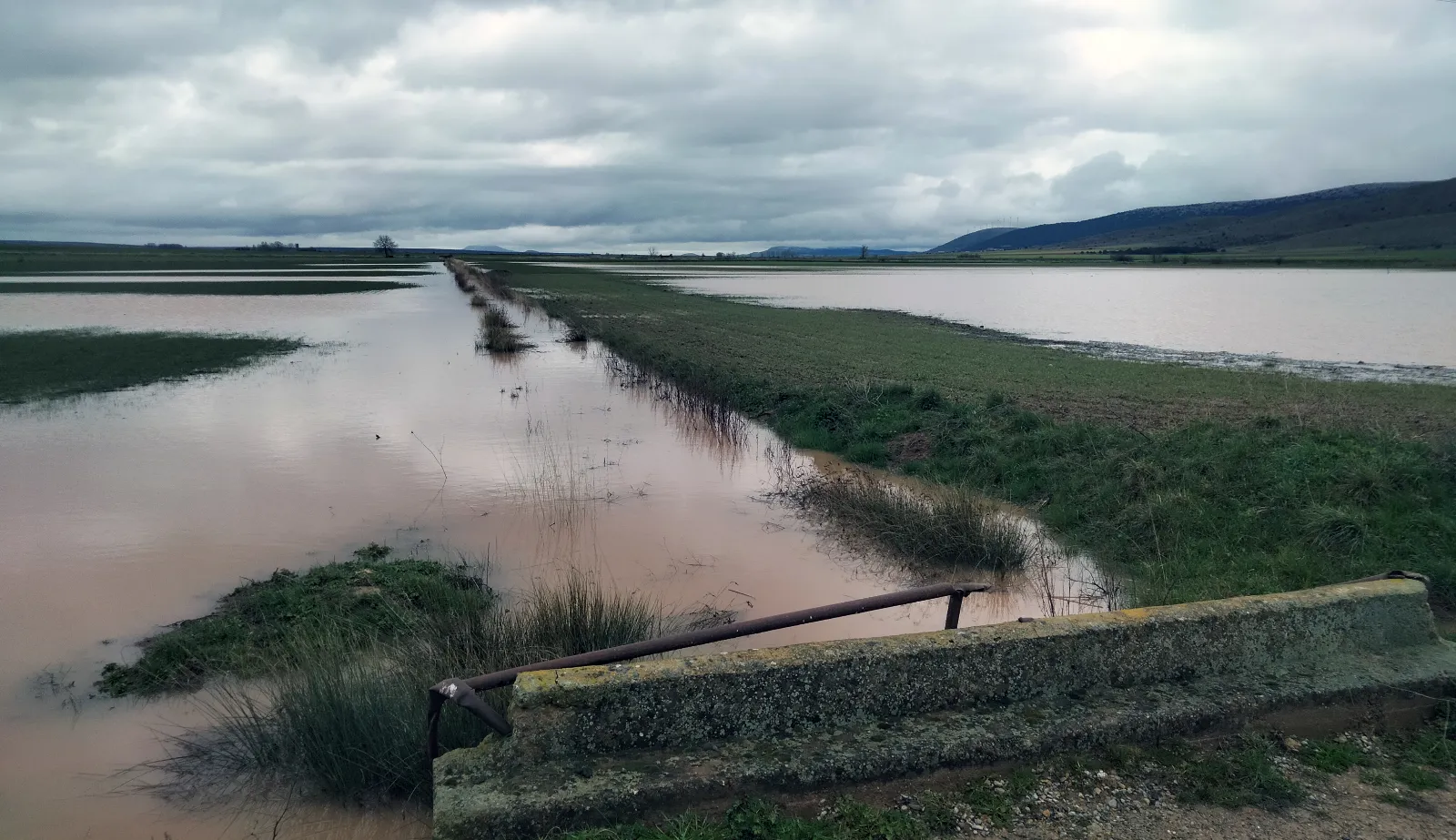 ASAJA exige a Hacienda la rebaja de módulos del IRPF